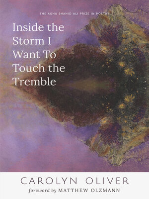 cover image of Inside the Storm I Want to Touch the Tremble